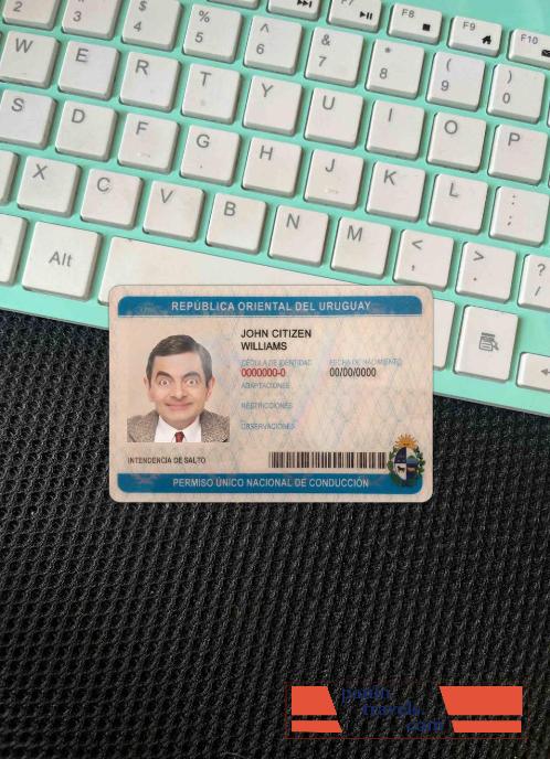 Uruguay driving license photolook FRONT PSD template
